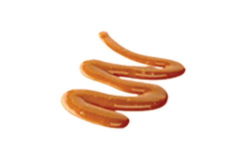 Coulis Caramel